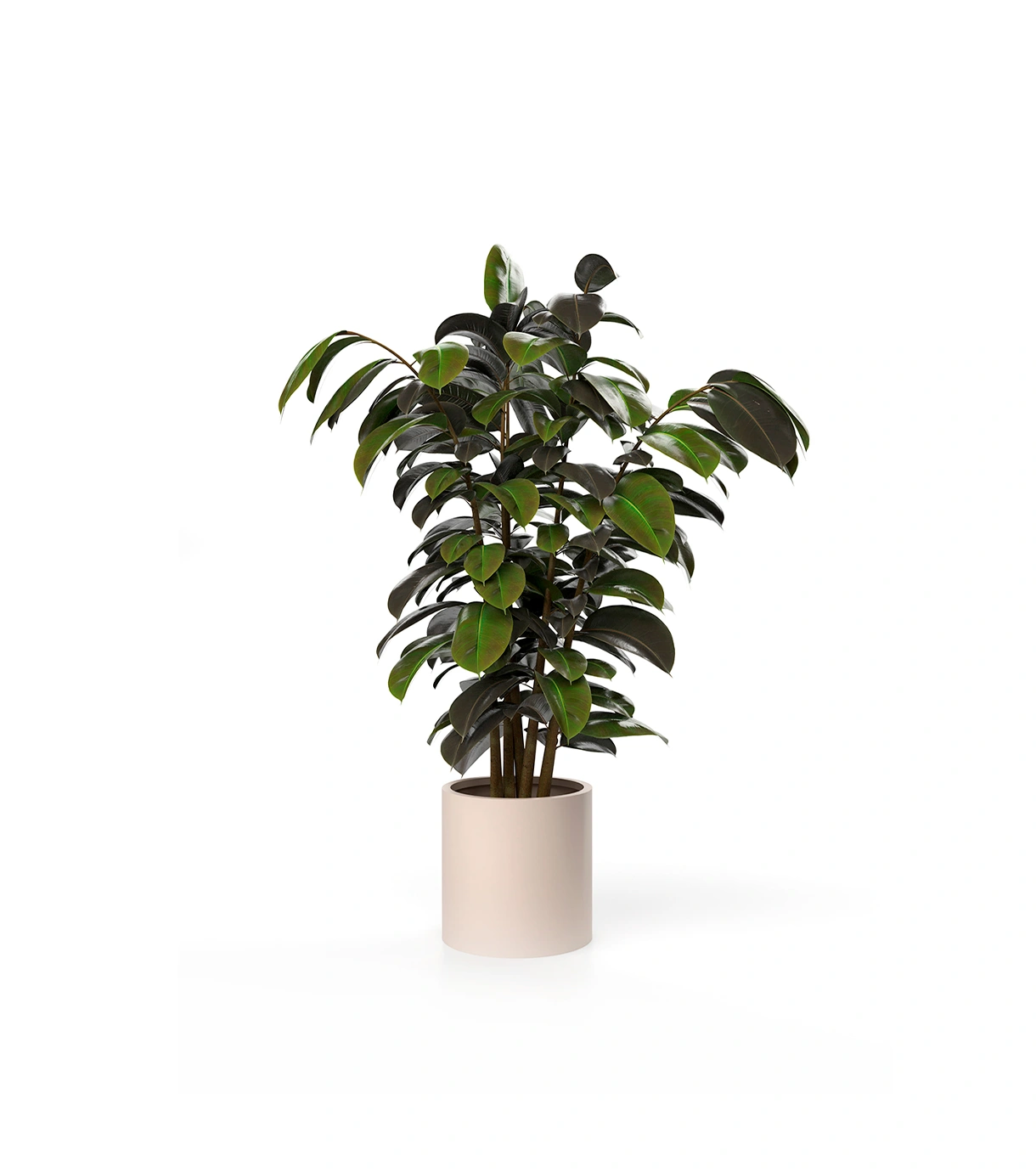 Ventus Planter M Hero