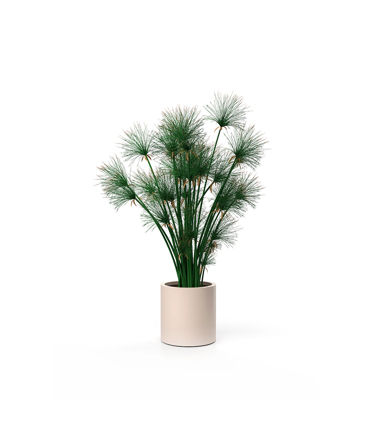 Ventus Planter S Hero